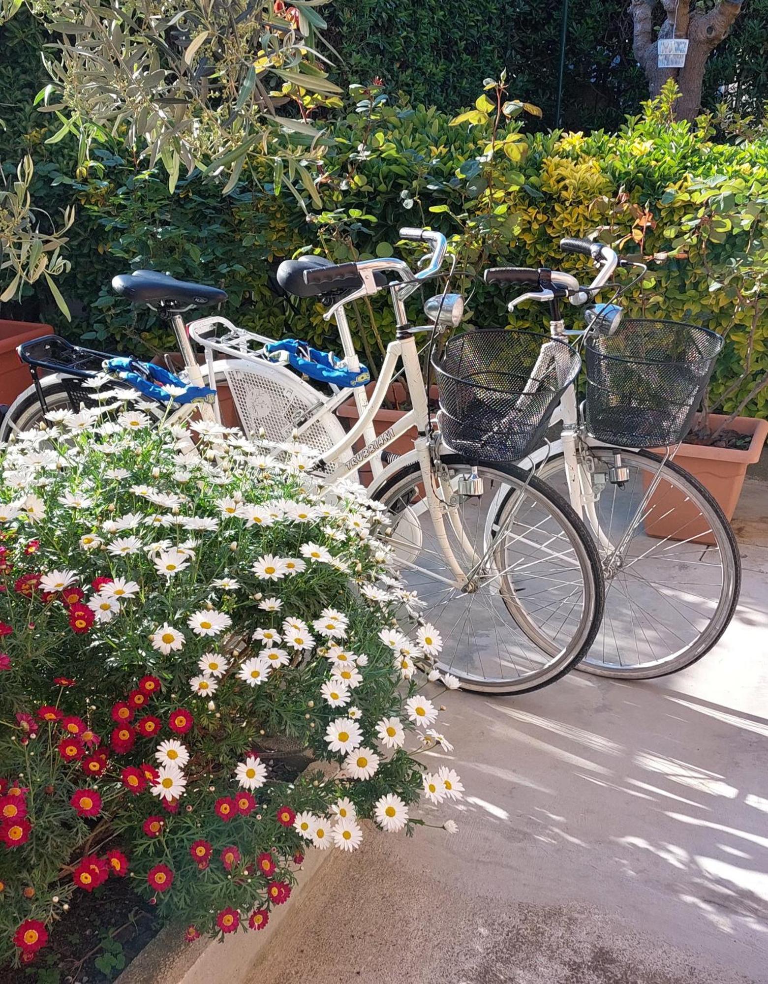 Casa Del Sole Apartments With Garden Marina Di Pisa Extérieur photo